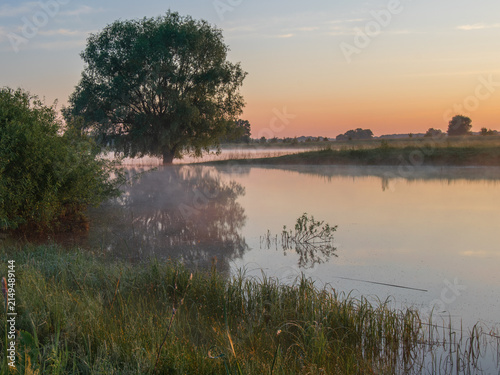 Bild auf Leinwand A peaceful river landscape at sunrise features a lone tree reflecting on the cal