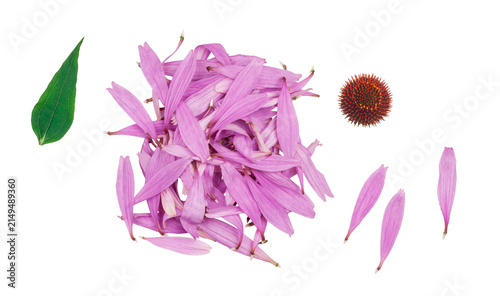 Echinacea flowers petals isolated on a white background, contour