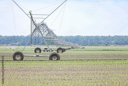 Center Pivot Irrigation System Over Young Corn Field On Commercial Farm Landscape