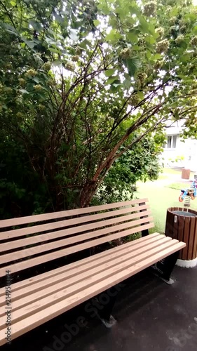 Park bench under greenery in outdoor setting  