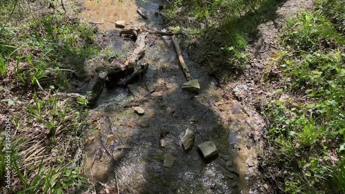 Transparent forest creek flowing over rocks and fallen branches in bright summer sunlight surrounded by lush green vegetation and natural woodland. High quality 4k footage
