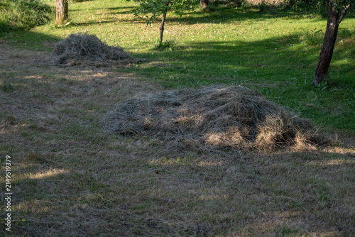 Small haystack in a garden.