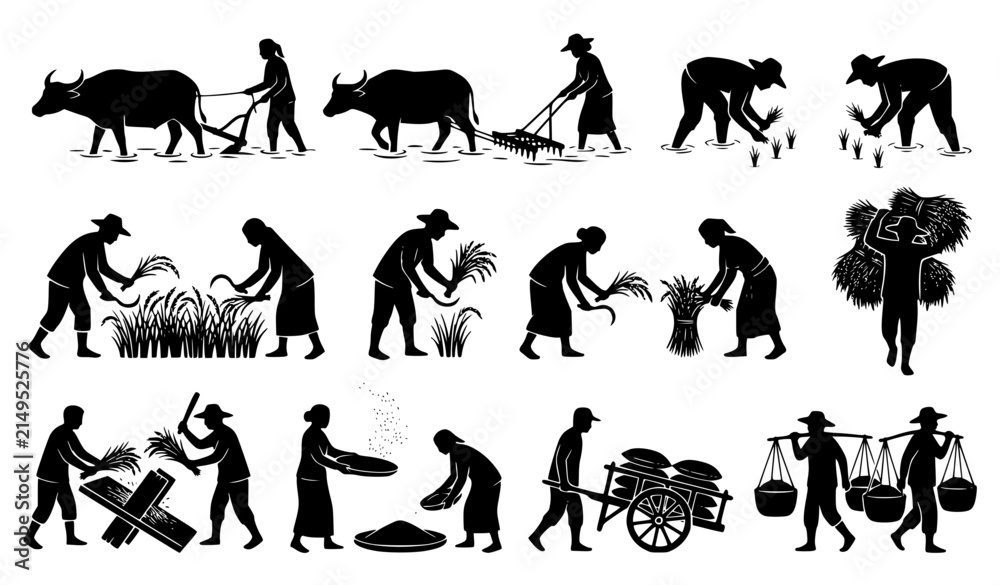 Fototapeta premium Traditional Rice Farming and Rural Agriculture Silhouette Vector Set