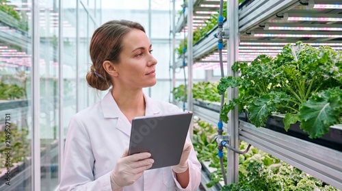 Female Agricultural Scientist Inspecting Hydroponic Vegetables in Modern Vertical Farm Greenhouse Sustainable Agriculture Smart Farming and Food Production
