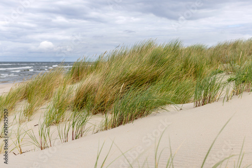 Dune grass with view of rough Baltic Sea — marram grass, dune, wild beach, Poland