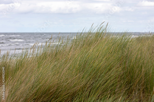 Dune grass with view of rough Baltic Sea — marram grass, dune, wild beach, Poland