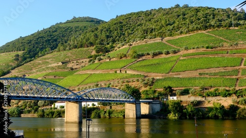 Beautiful Ponte do Pinhão in the early morning by the Douro river