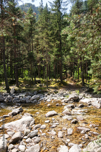 Rila Mountain near Beli Iskar River, Bulgaria