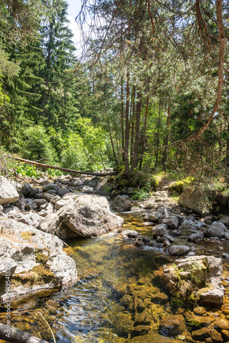 Rila Mountain near Beli Iskar River, Bulgaria