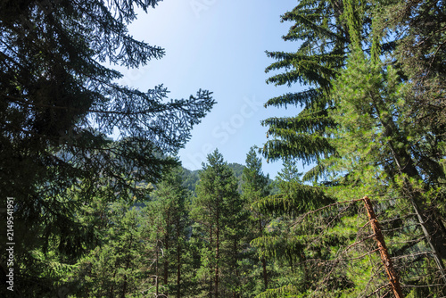 Rila Mountain near Beli Iskar River, Bulgaria