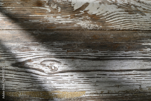 Cuadro en lienzo Wooden surface with intricate patterns highlighted by gentle light in a serene s