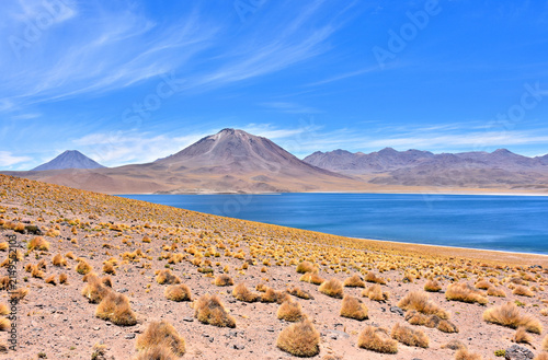 Panoramic view of Laguna Miscanti - lake located in the altiplano of the Antofagasta Region in northern Chile. Cerro Miniques volcano and Cerro Miscanti in the background. 