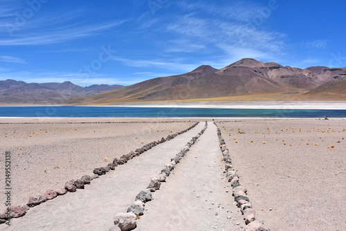 Canvastavla Trail to Laguna Miscanti  - brackish water lake located in the altiplano of the Antofagasta Region in northern Chile