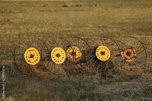 Photography Five wheel hay rake in a mown field in warm evening light