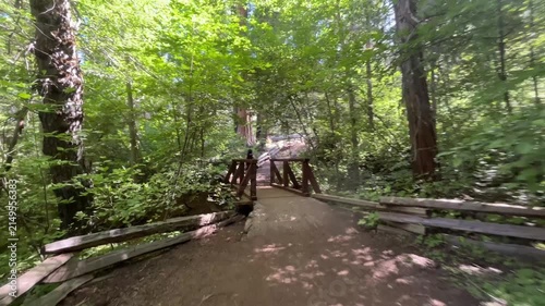 First person POV hiking across a wooden bridge on Tuolumne Grove Trail in Yosemite National Park