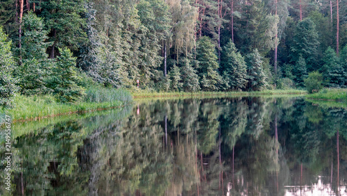 Reflections of trees and greenery in a still body of water during a sunny day The Augustow Canal on the Vistula River and the Neman River in Belarus Grodno Region on July 25, 2026.