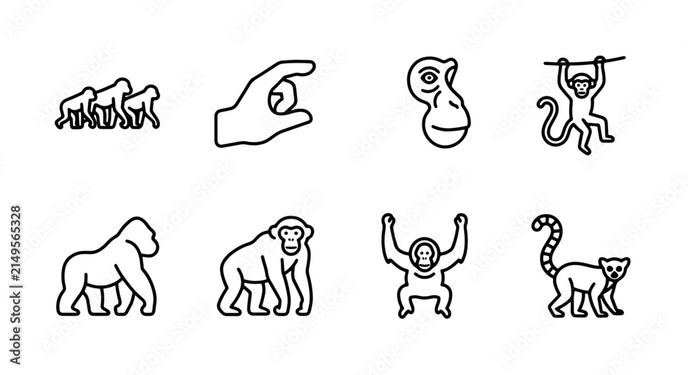 Fototapeta premium Primate Icons Set: Gorilla, Monkey, Lemur, Evolution, Hand Holding Coin, Vector Graphics