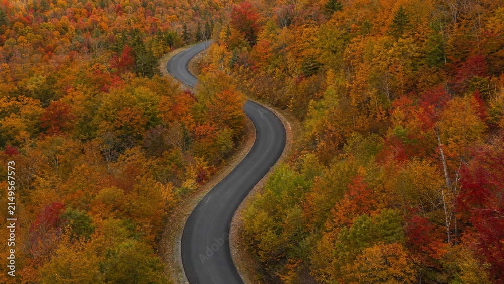 Naklejka premium Winding road through vibrant fall forest with trees displaying a spectrum of orange, red, and yellow foliage in a scenic landscape during autumn season