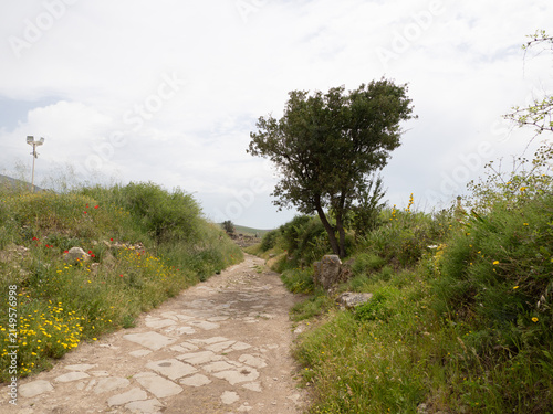 Foto Ciudad romana de Bulla Regia, en Túnez, África