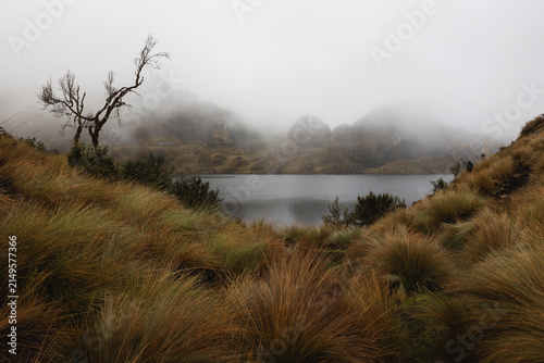 Fog drifts across a lake surrounded by páramo vegetation in Cajas National Park, high in the Ecuadorian Andes.