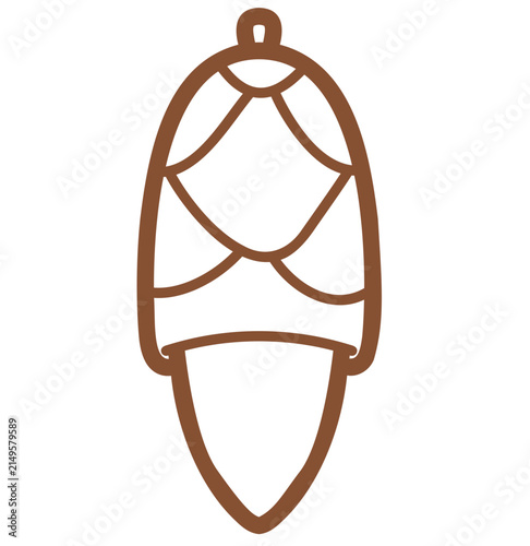 vector illustration of acorn
