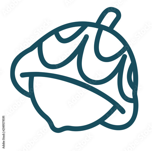 vector illustration of acorn