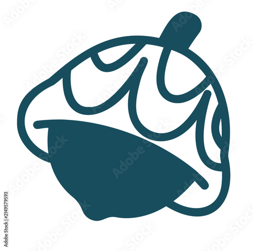 vector illustration of acorn