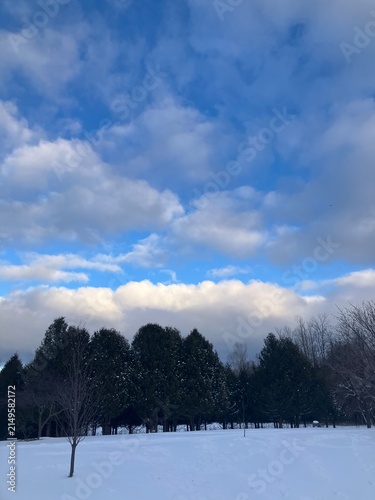 Foto Cloudy December Door County Sky with Treeline