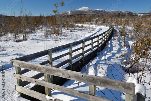 Cherry River wooden boardwalk across marshland in winter.