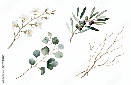 Elegant Botanical Watercolor Branches and Twigs Hand-Painted Collection
