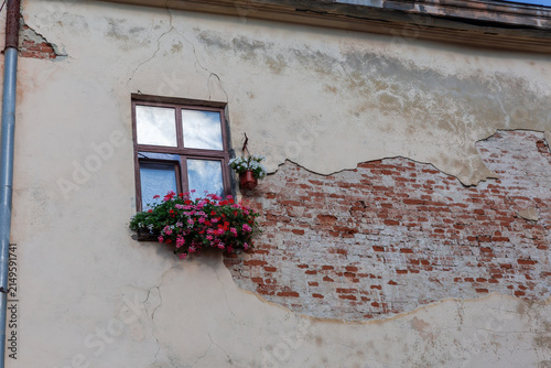 Bild auf Leinwand Facade of antique building with window and hanging flowers beside