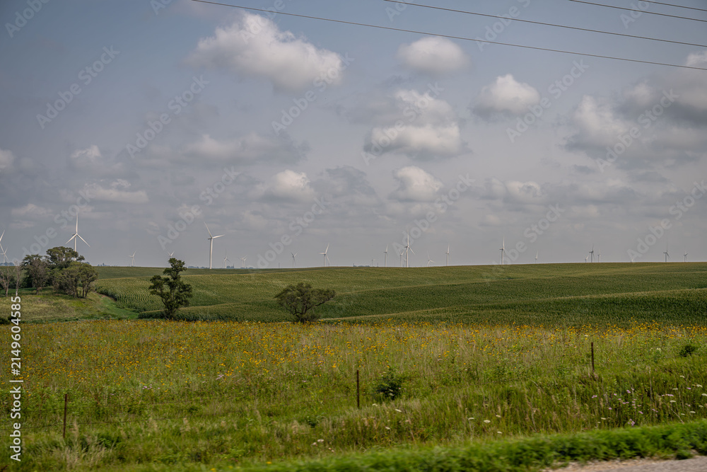 Fototapeta premium iowa countryside