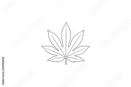 Minimalist outline drawing of a single palmate leaf with detailed veins on white background