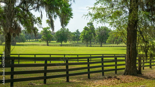 Black equine fences around green pastures along a scenic road in horse country in Ocala, Florida, on a sunny morning in spring. Motifs of countryside, travel, and tradition. Roadside view.