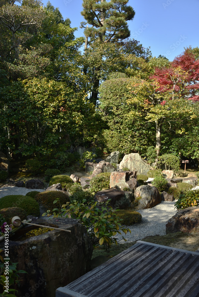 Fototapeta premium 妙心寺塔頭 秋の退蔵院 元信の庭(京都市右京区)