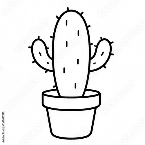 Potted Cactus