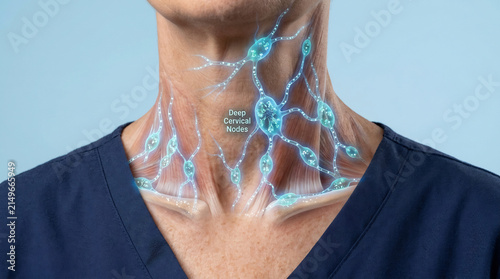 Medical 3D illustration of the human lymphatic system showing deep