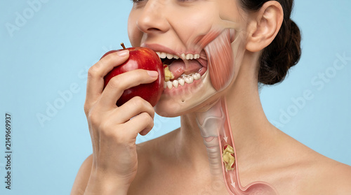 Anatomical illustration of a person biting a red apple showing the