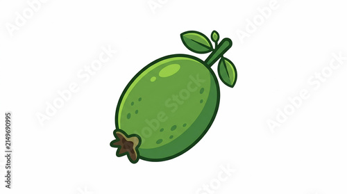 Green Feijoa Fruit Vector Illustration Isolated on White Background for Healthy Food Design