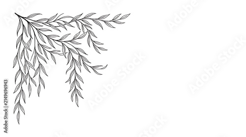 Foto Elegant hand drawn willow branch corner border illustration on white background