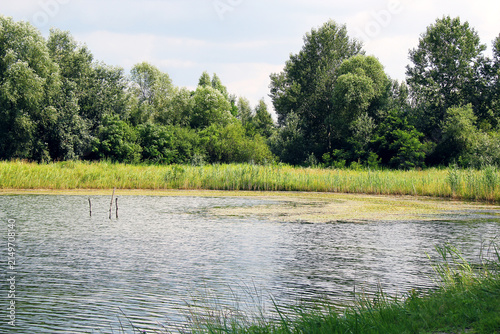 Foto Scenic Blue Sky and Greenery Around Provala Lake in Serbia