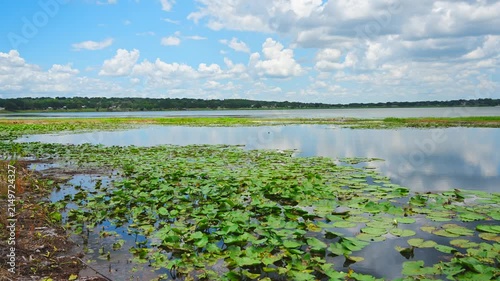 landscape of Lake Wales is a historic city in Polk County, Florida, highest point of Florida