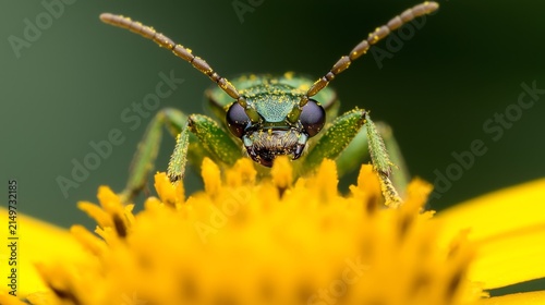 Close-Up of a Green Insect Pollinating a Yellow Flower Petal