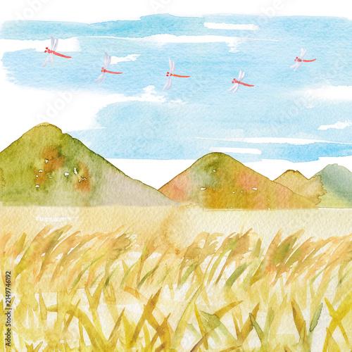 日本の田舎の秋の風景。紅葉で色づいた山々の前に広がるススキの草原に、赤とんぼが飛ぶ景色を手描きの水彩で描いたイラスト。