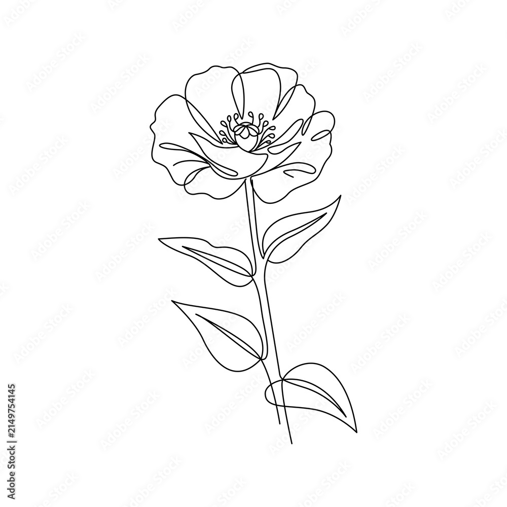 Obraz premium Simple single line art black poppy flower drawing elegant minimalist floral illustration.