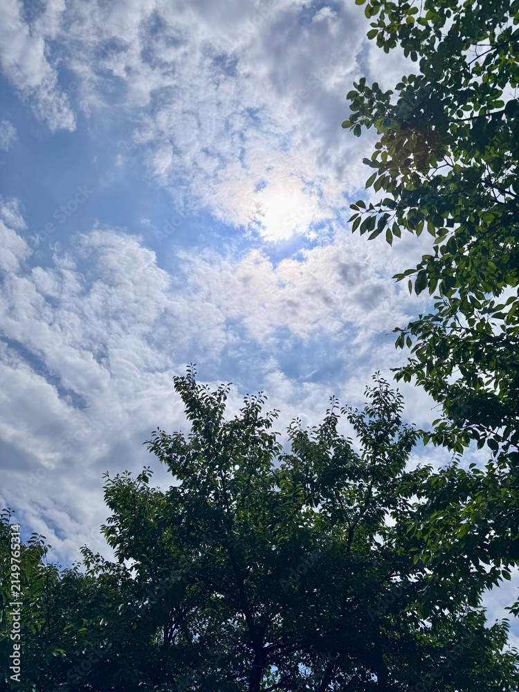 Fototapeta premium Deep Blue Sky with Small White Cumulus Clouds on a Clear Sunny Day
