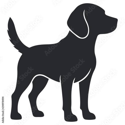 black dog isolated on white background