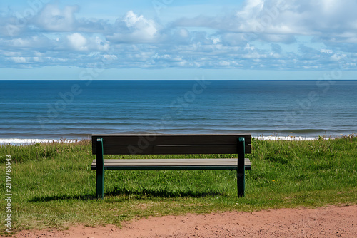 Empty park bench facing the ocean on a sunny day with peaceful coastal views and clear blue sky.