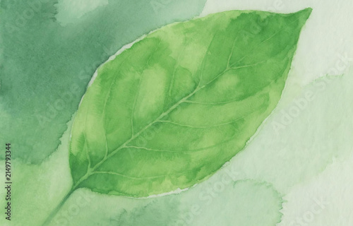 Beautiful green leaves growing perfectly