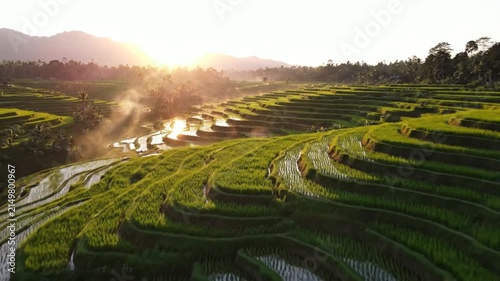 Terraced rice fields glow under the warm morning sun in a lush green valley with misty mountain horizon